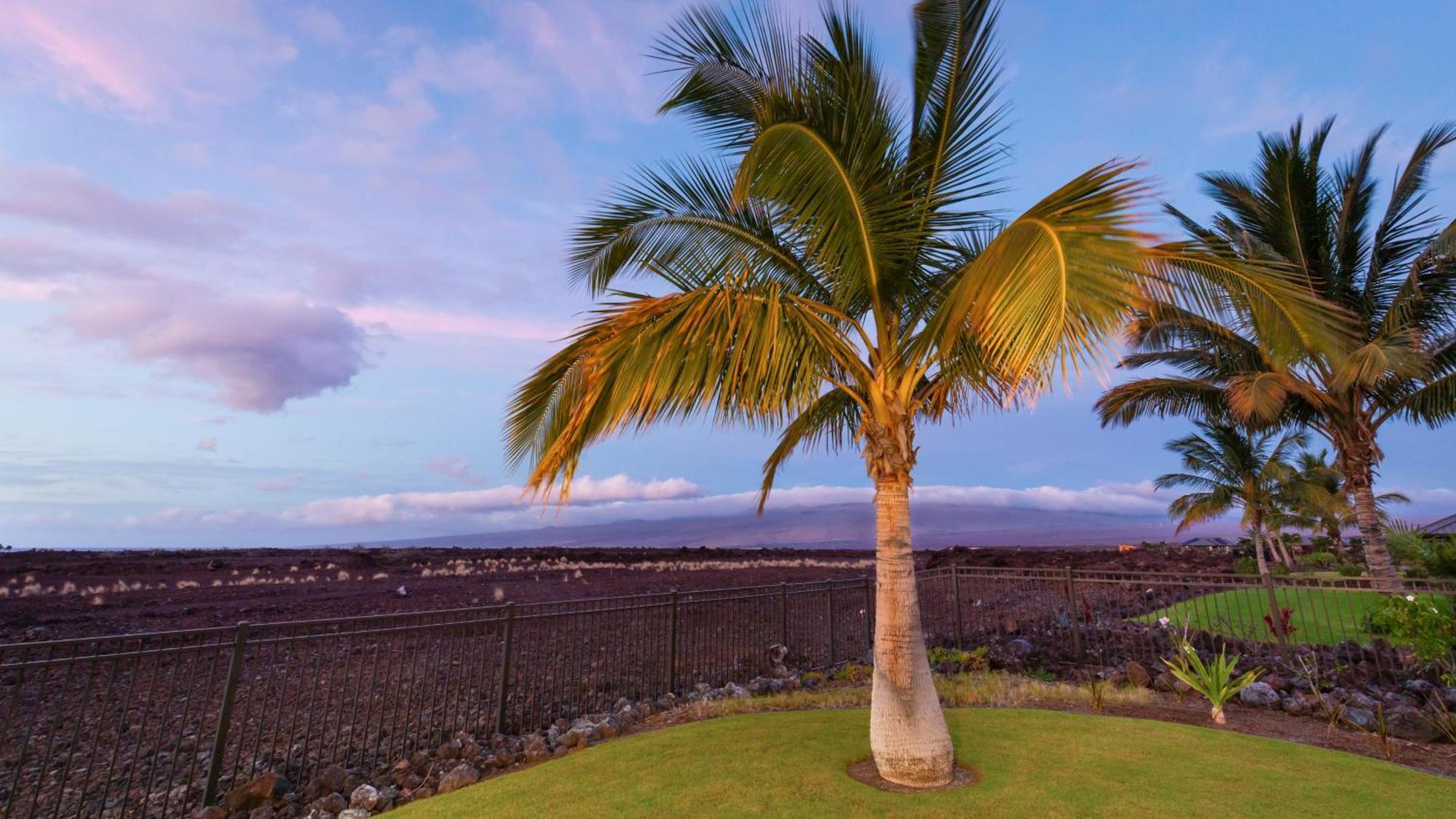 Starry Nights Dreamy 4Br Ainamalu Home With Mountain View Waikoloa Exterior foto